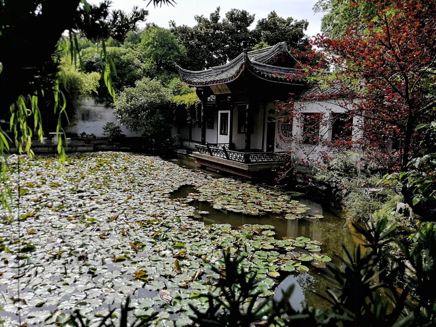 【首发】我的自驾游——兰溪李渔文化公园