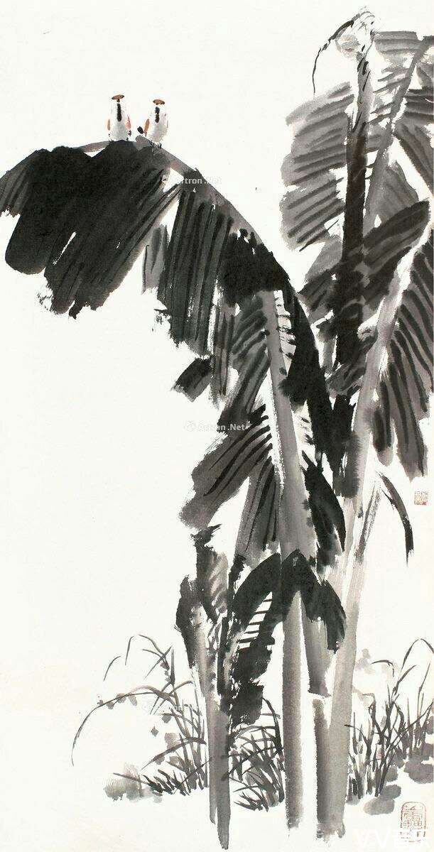 雨打芭蕉淅沥沥作者云迹诵读奕含