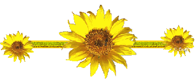 400_169gif 动态图 动图