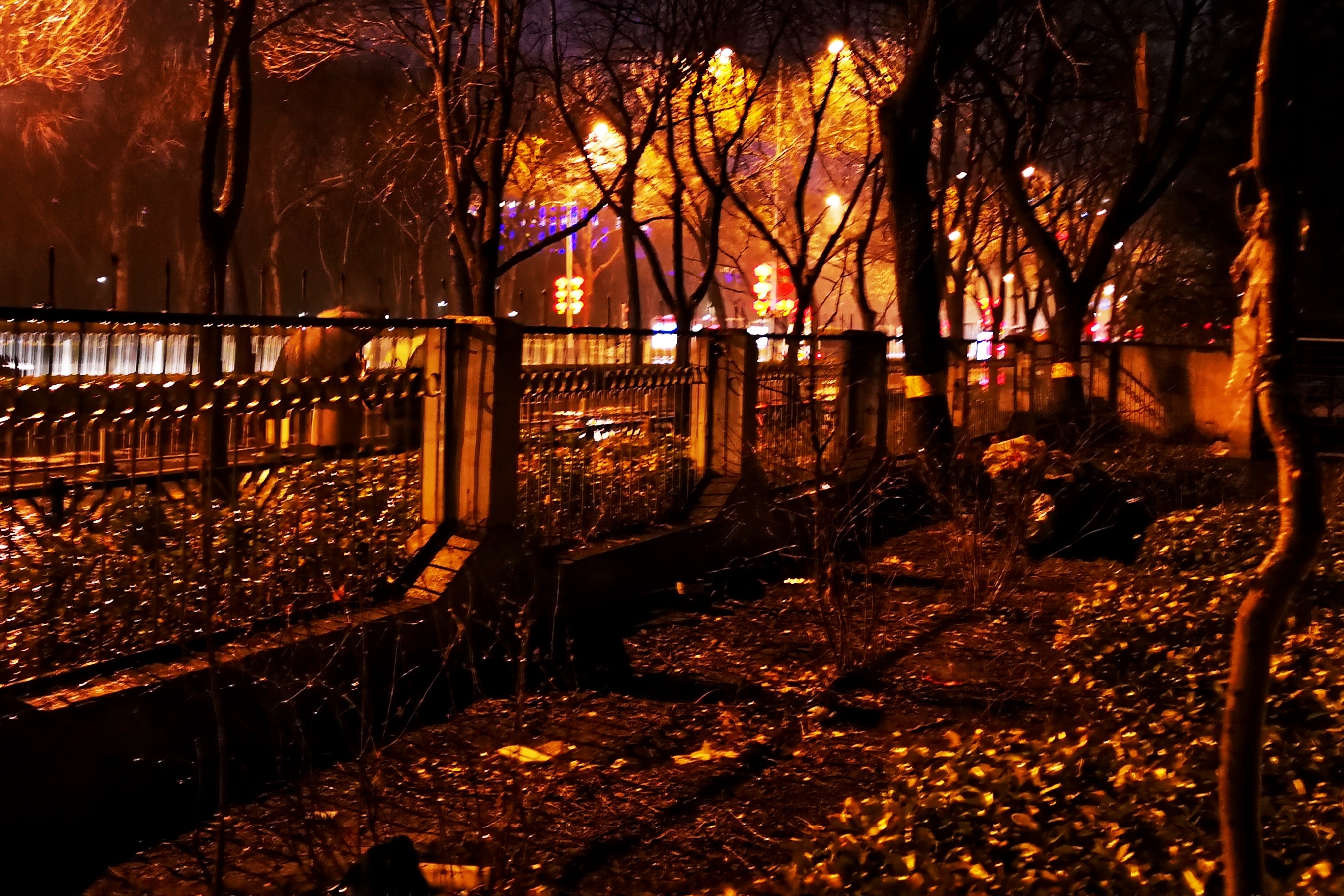 雨雪交加的夜晚图片图片