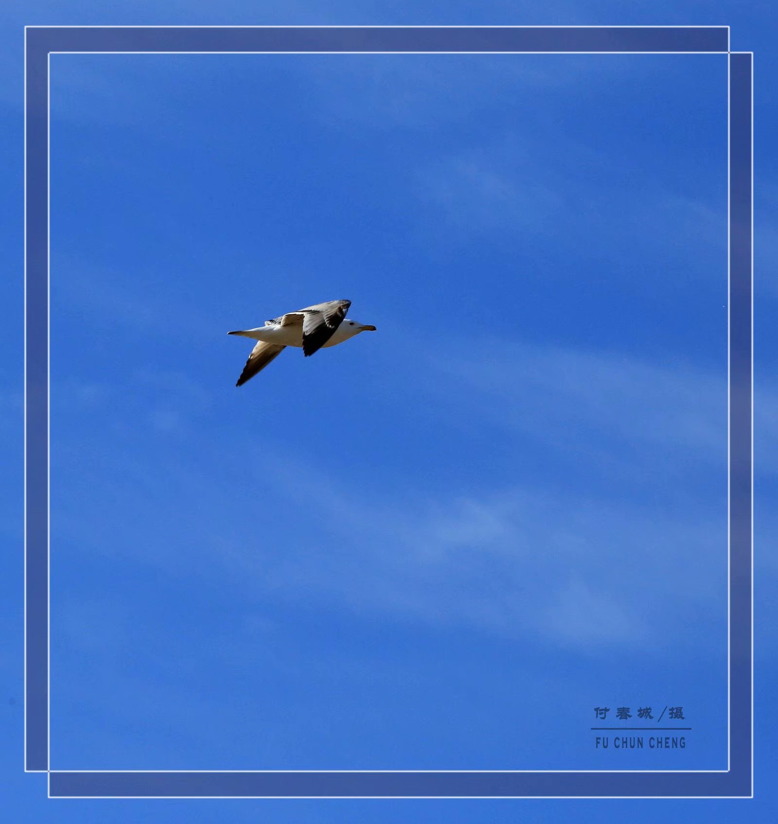 (原创首发)凌空飞舞