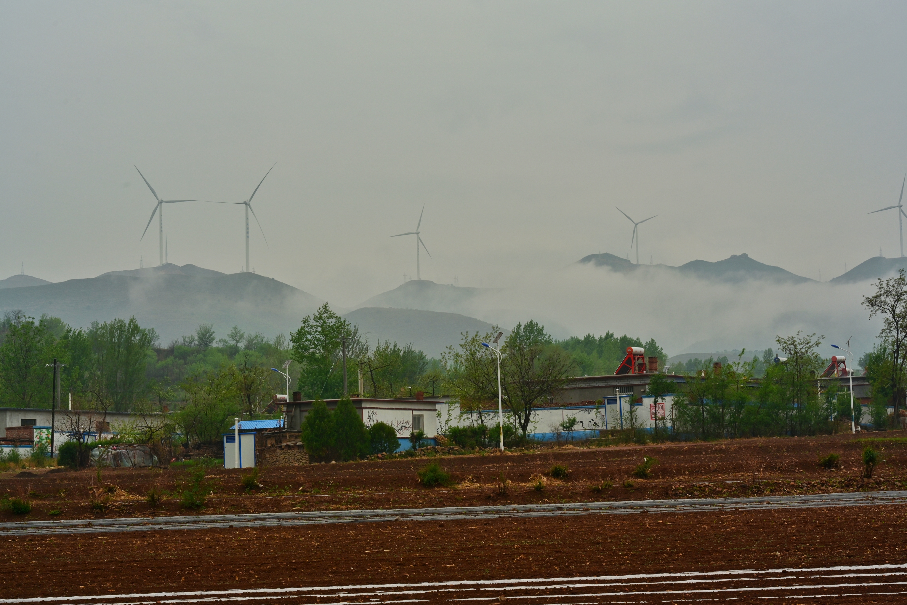 铃铛栆专业合作社(朝阳天盈果业有限公司),位于辽宁省朝阳县杨树湾乡