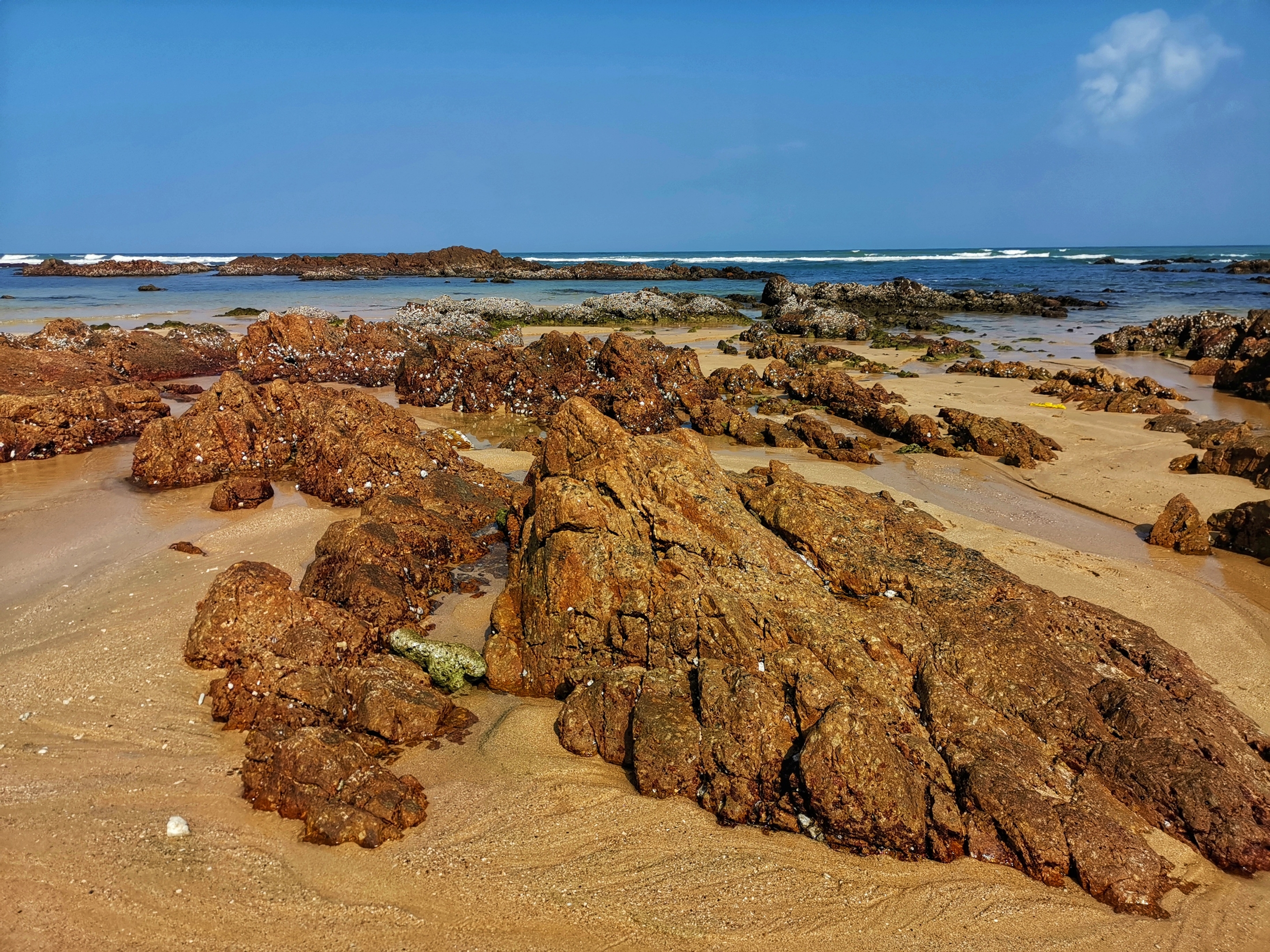 晶莹剔透景心角