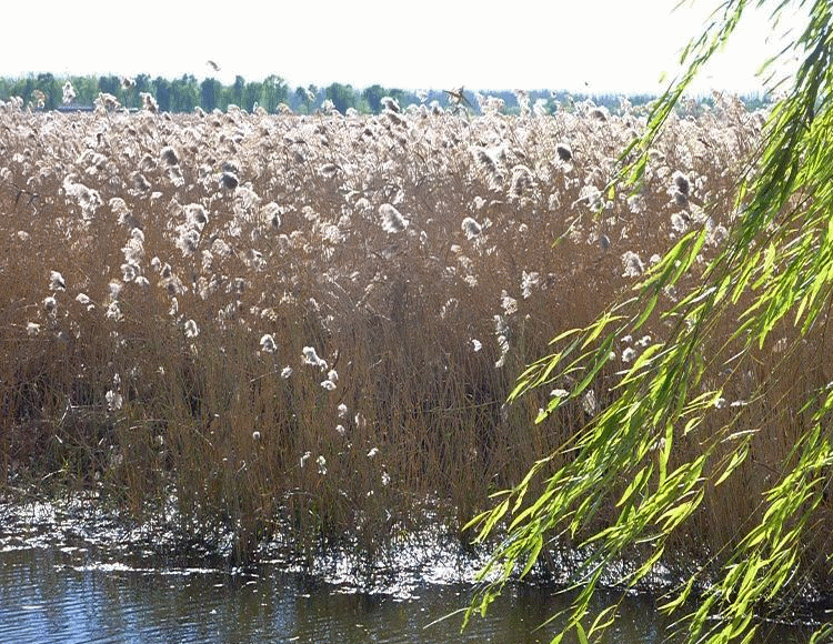 750_580gif 动态图 动图