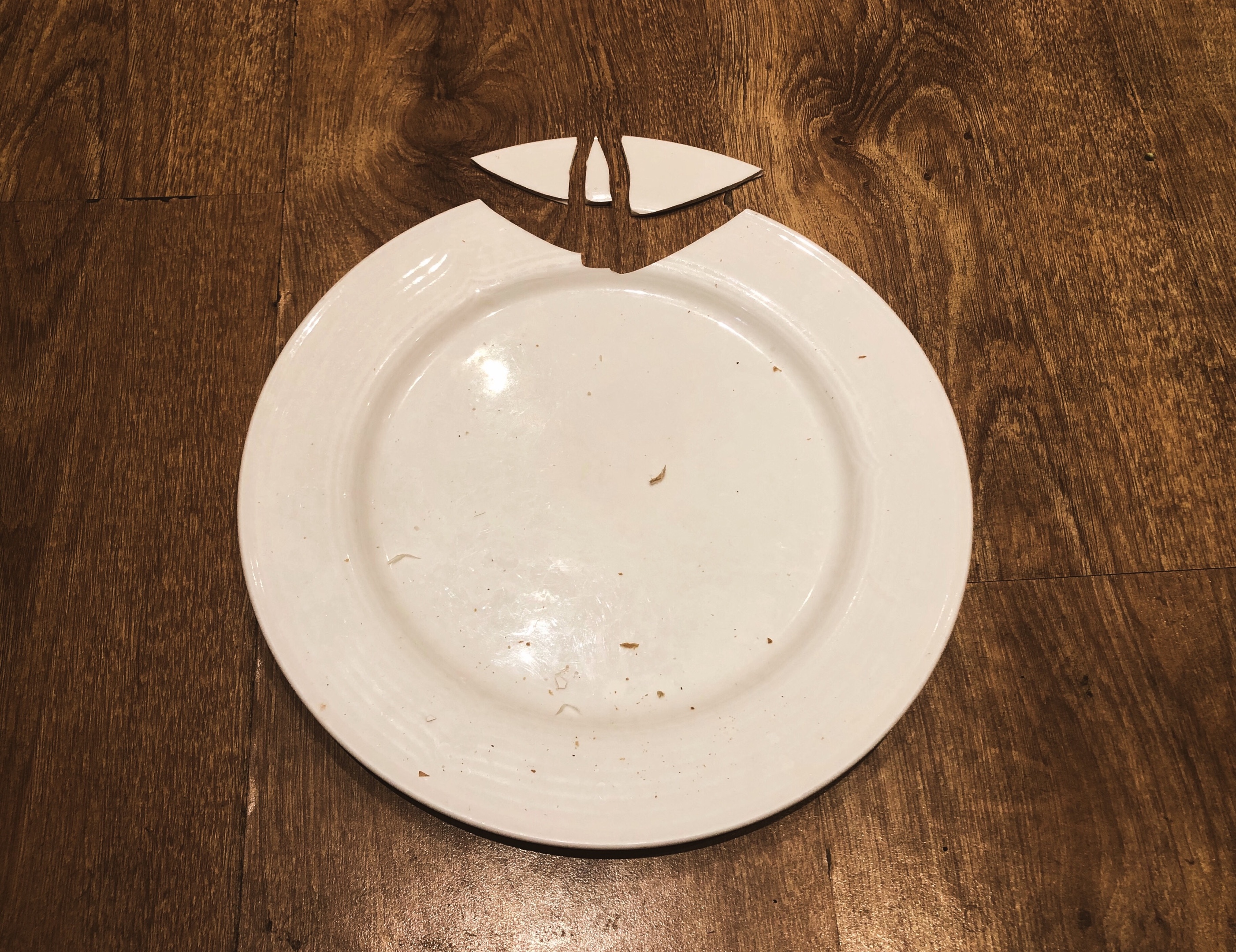 【原创首发】一个碎盘子的临终乱想