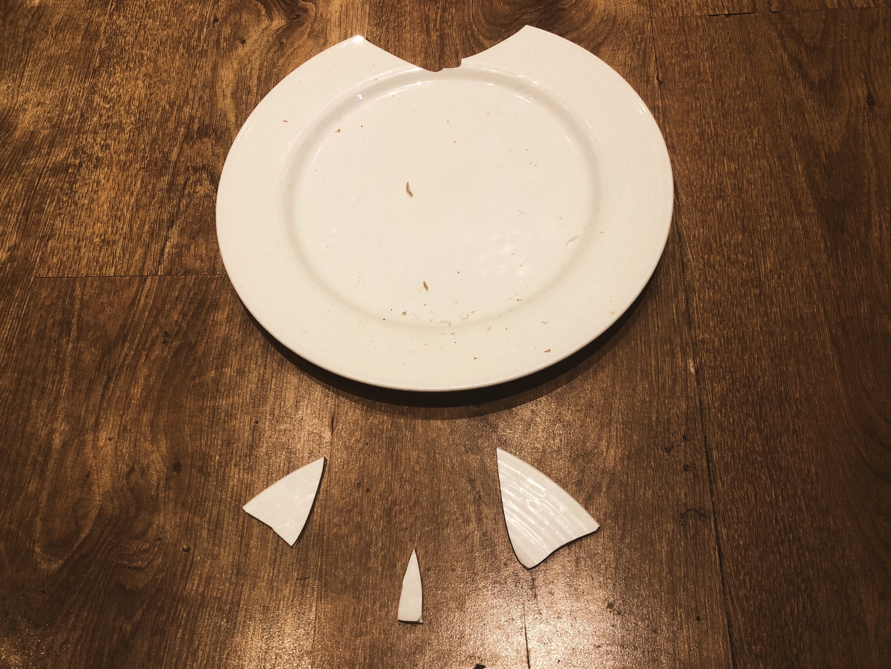 【原创首发】一个碎盘子的临终乱想