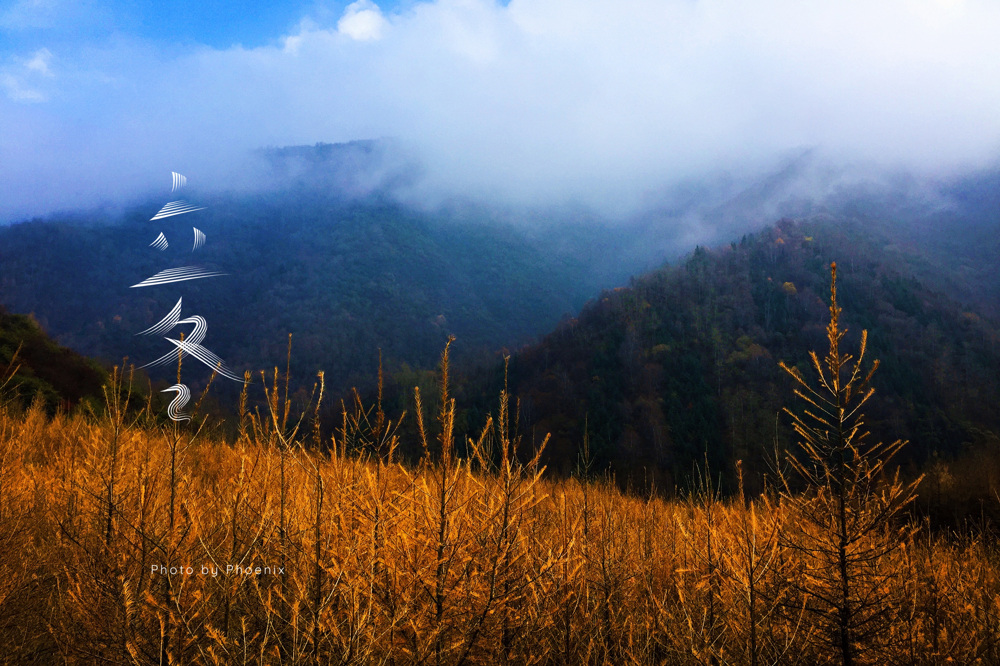 【24节气】立冬:祝君安好,乐过冬季