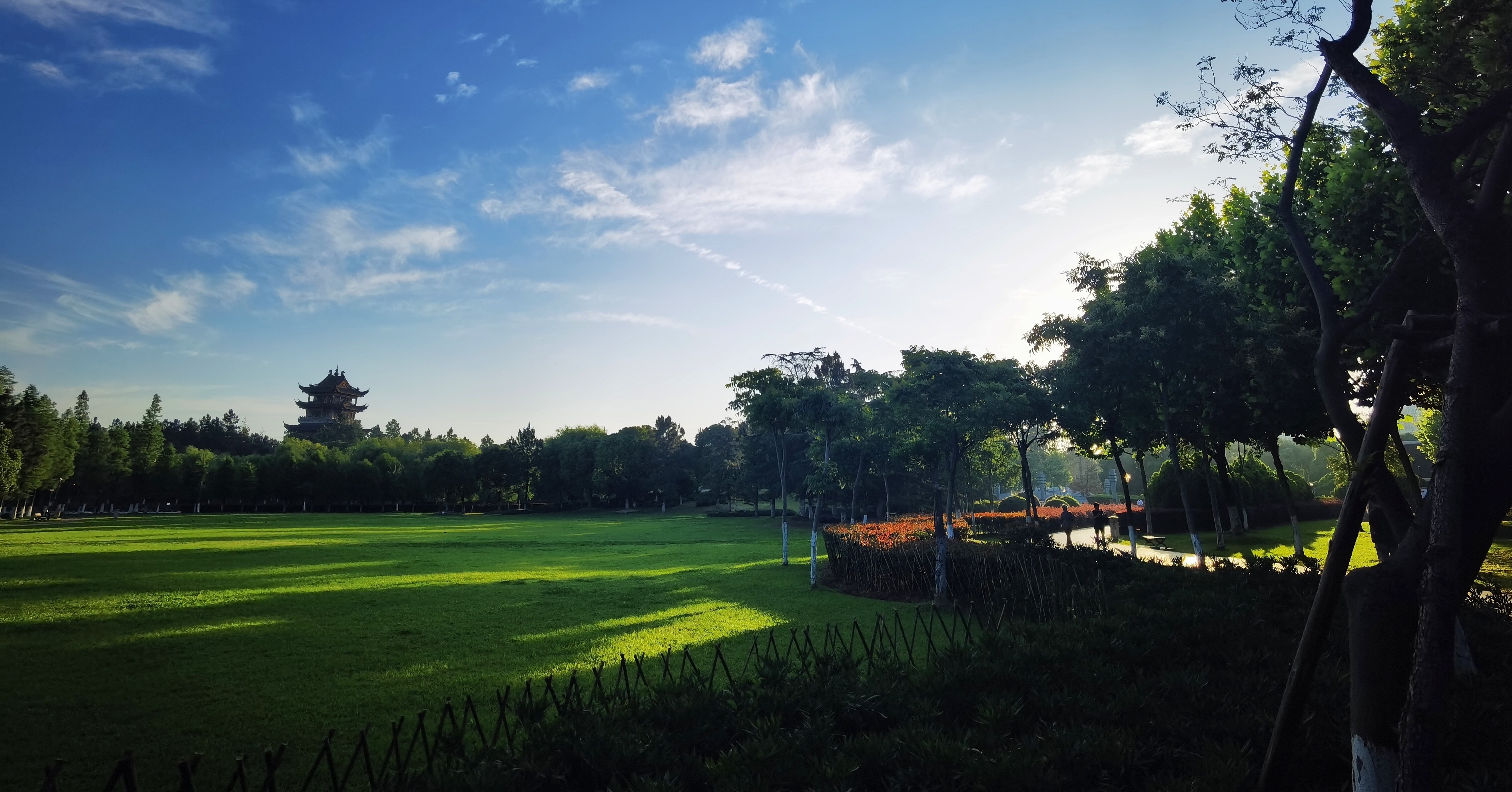 《首发》手机摄影丨新世纪公园美景