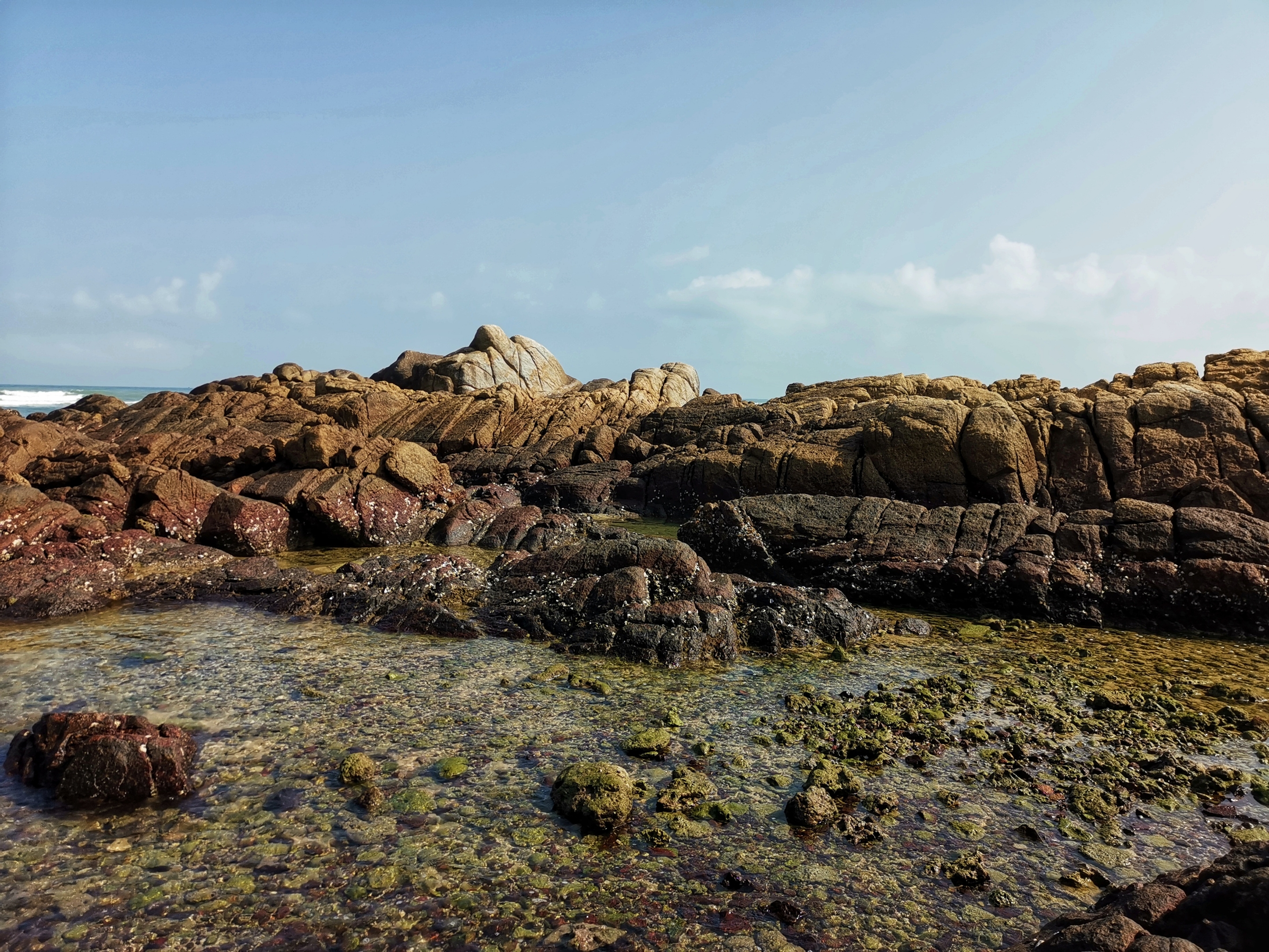 晶莹剔透景心角