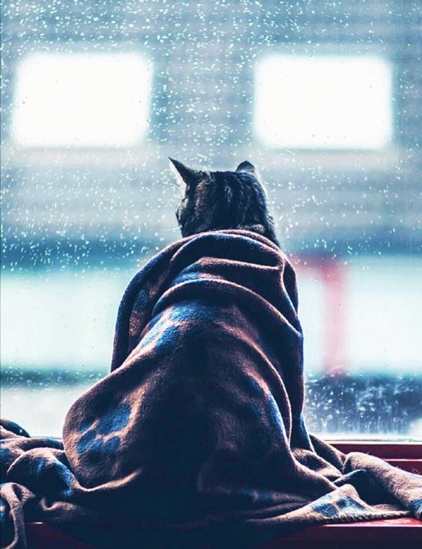 往事悠悠,温暖如前,忍不住感慨:在这个世界上,总有那么一个人,会在