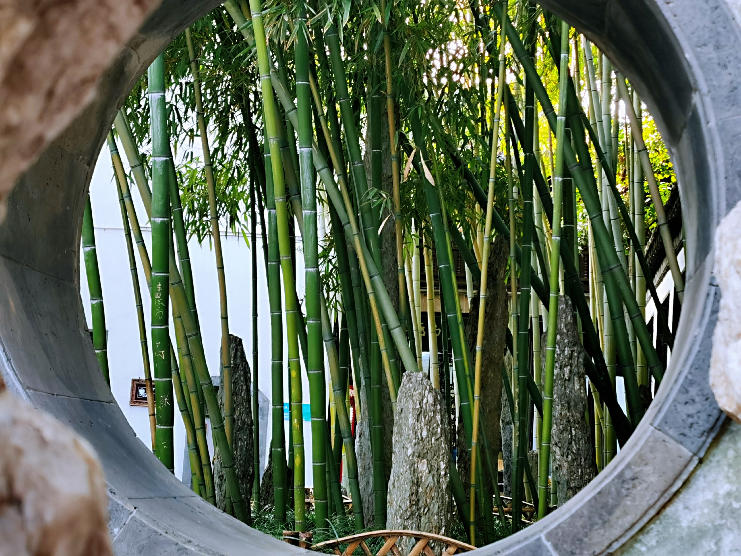 个园赏竹赏石首发