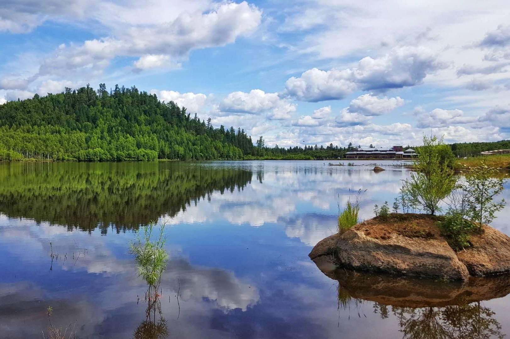 夏日湖畔 绿色家园