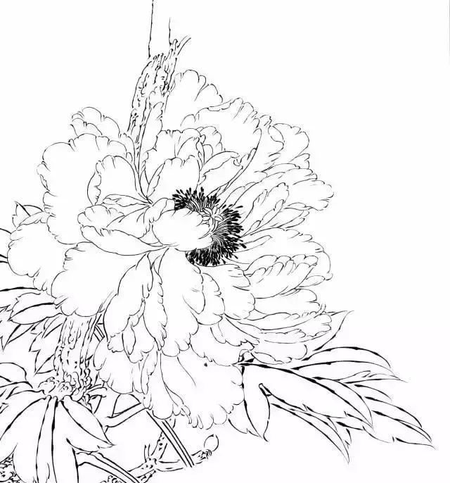 中国传统白描图谱以及白描知识及线描要求