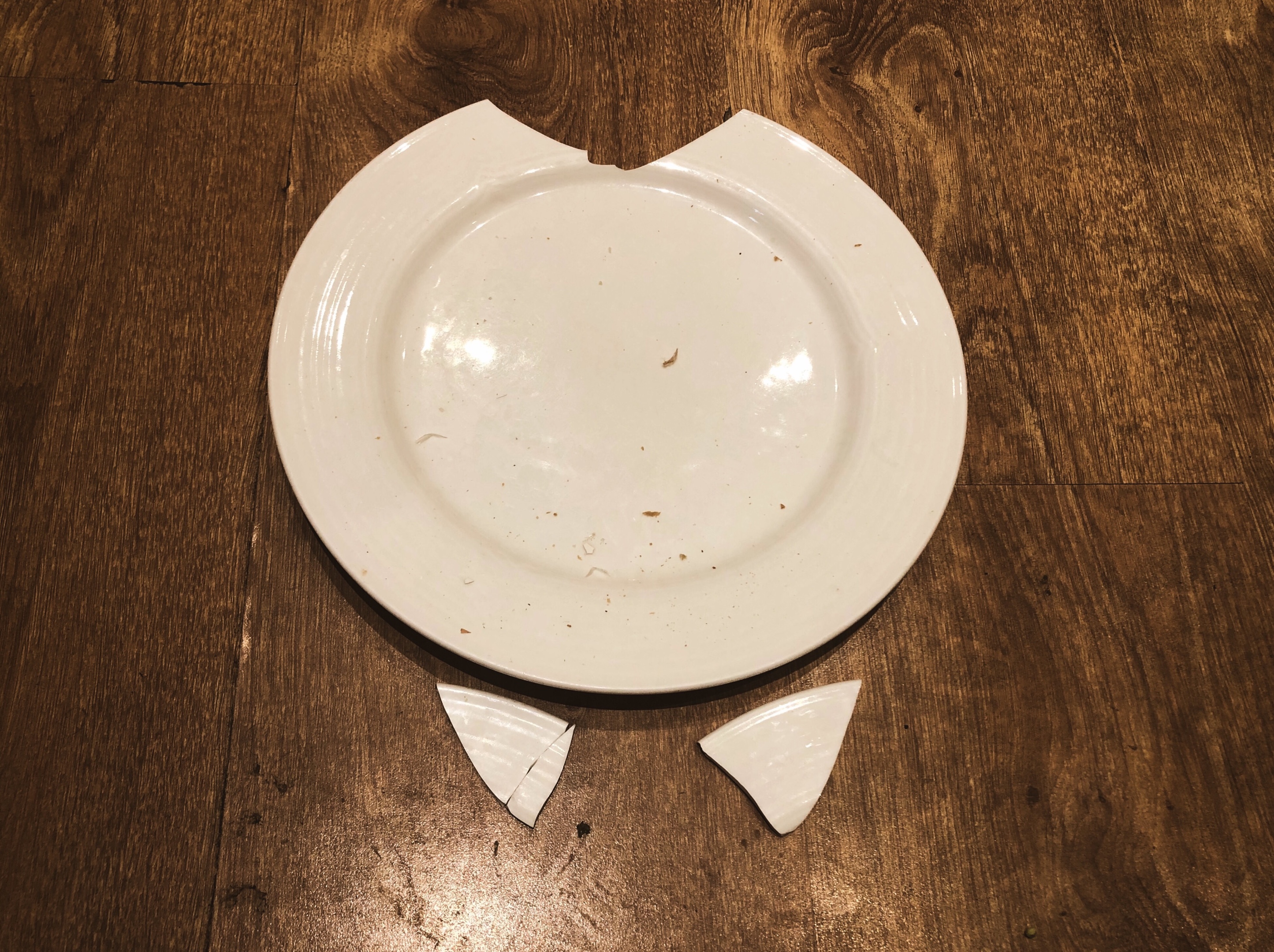 【原创首发】一个碎盘子的临终乱想