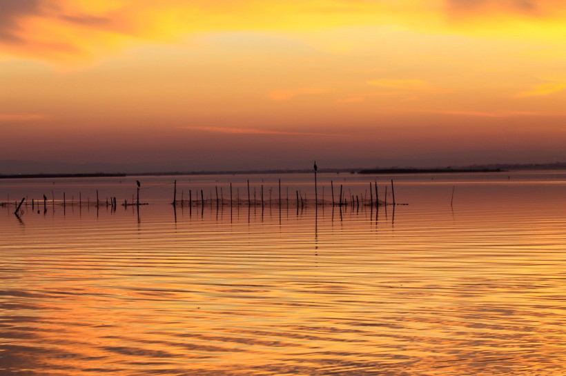 纯粹的美(首发)