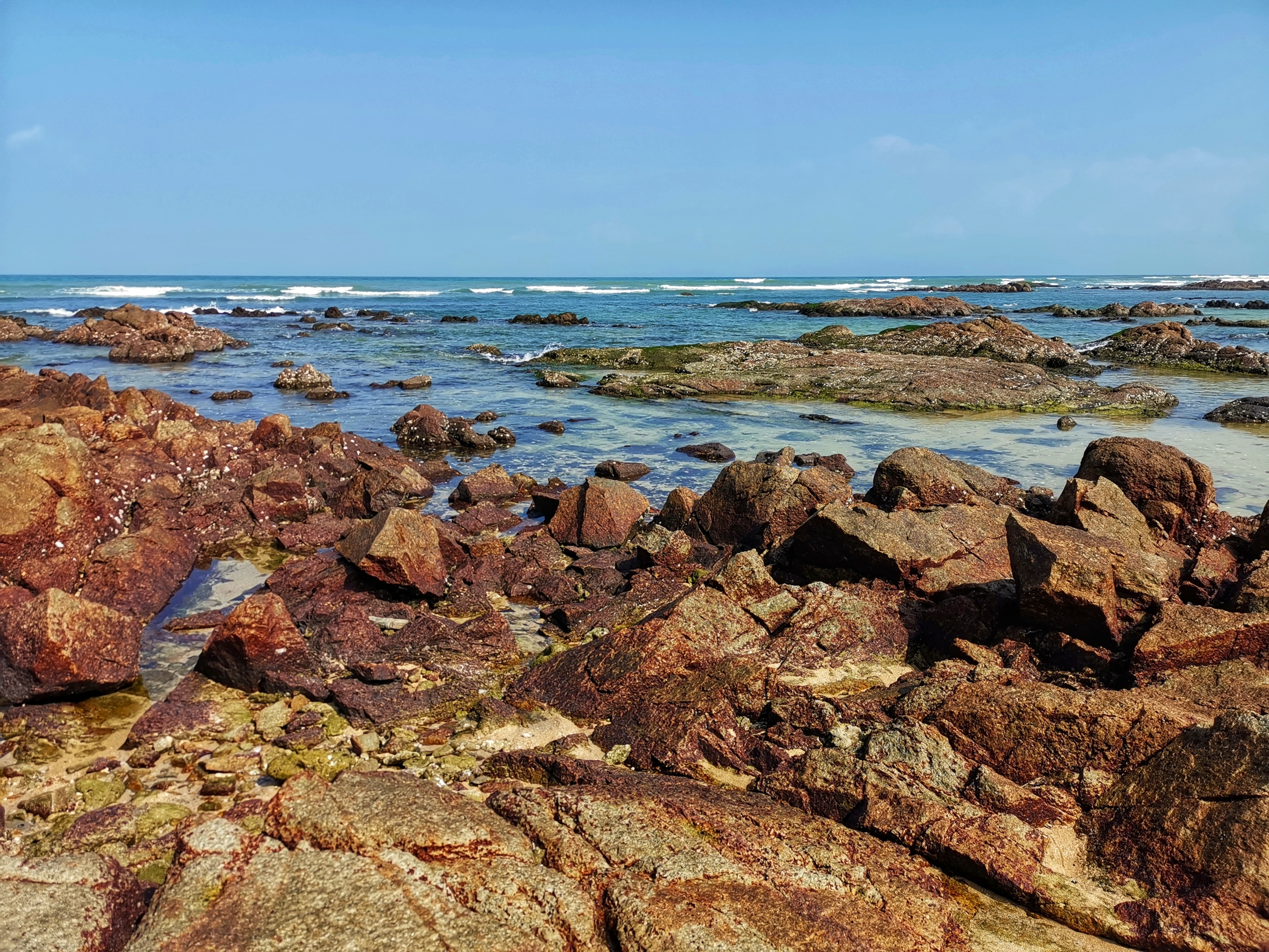 晶莹剔透景心角