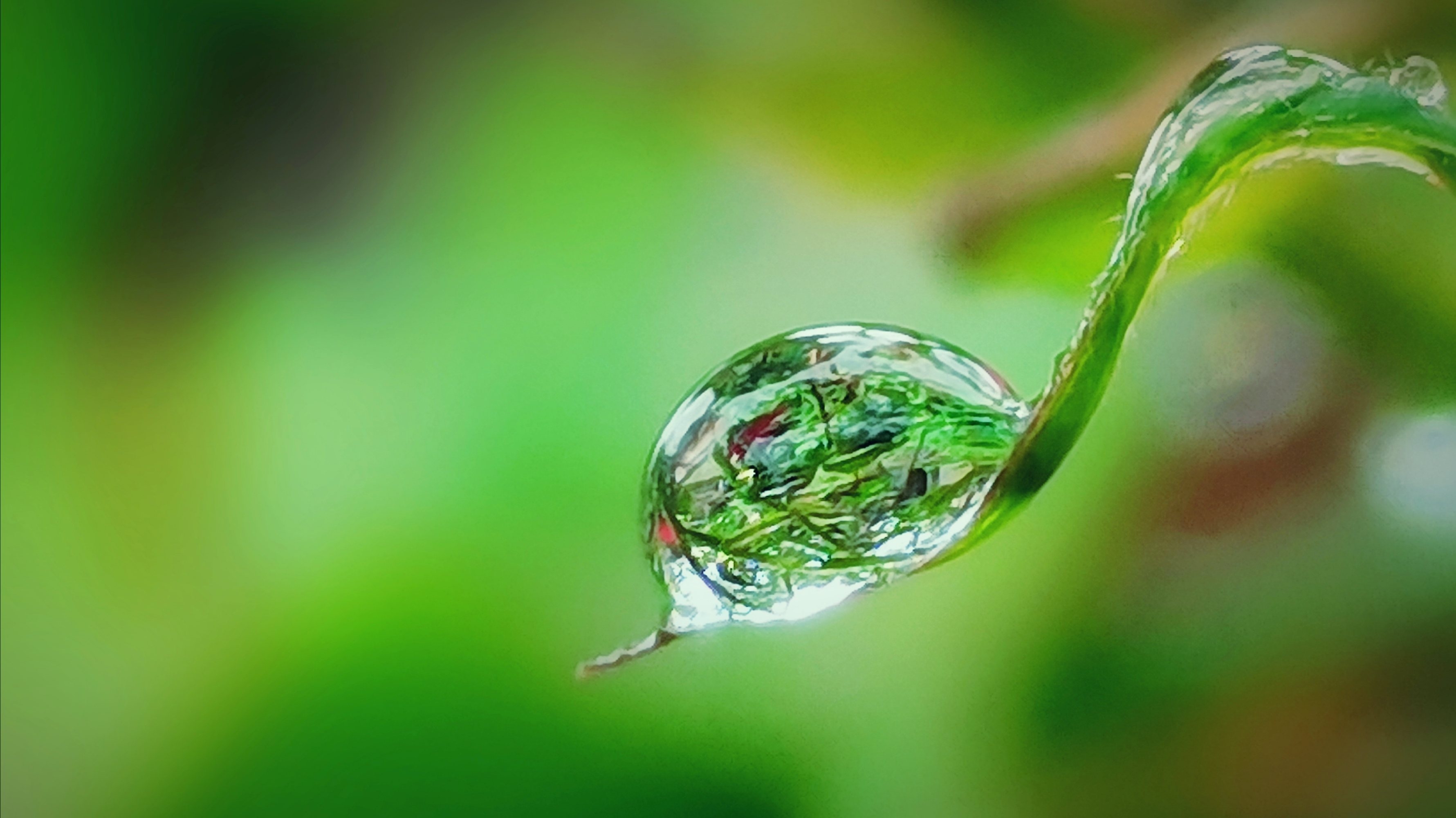 【一滴雨】 首发