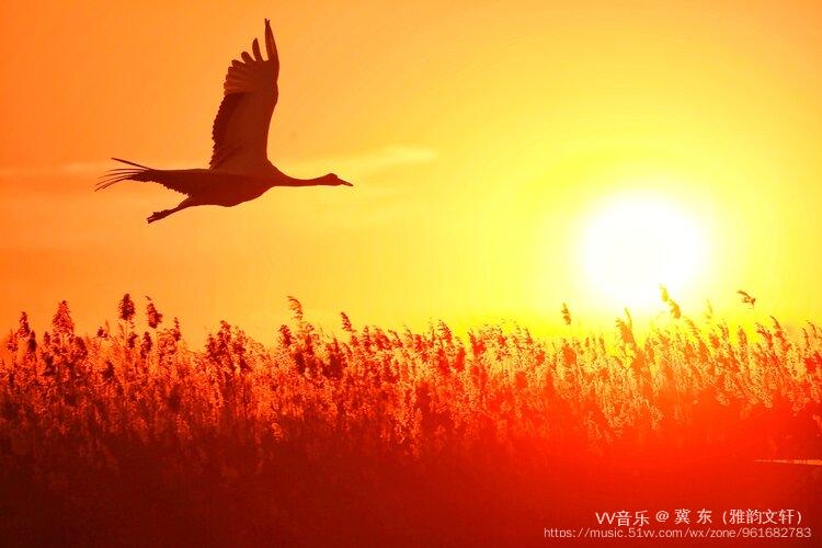 随风去吧goyourownwayletotherstalkabo