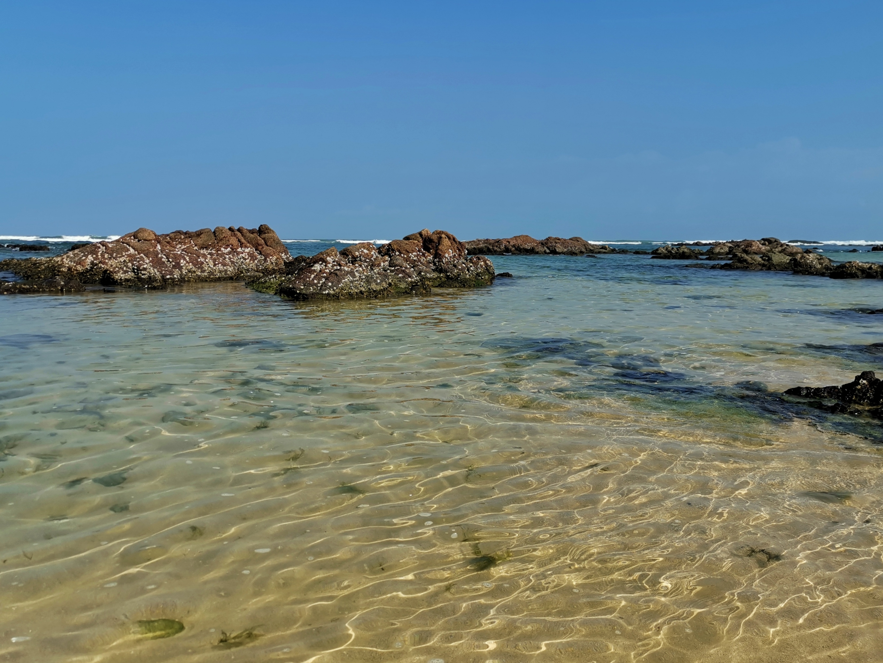 晶莹剔透景心角