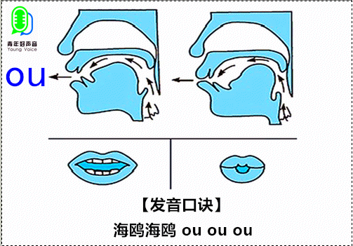 韵母发音口型舌位图解图片