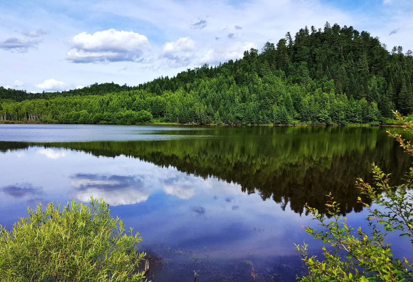 夏日湖畔 绿色家园