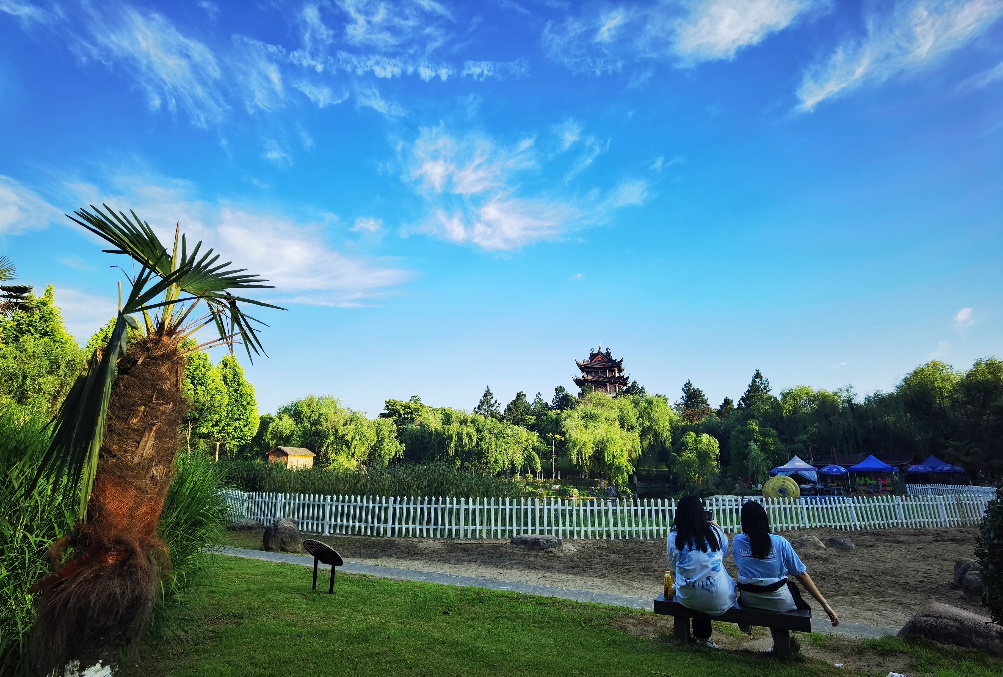 《首發》手機攝影丨新世紀公園美景