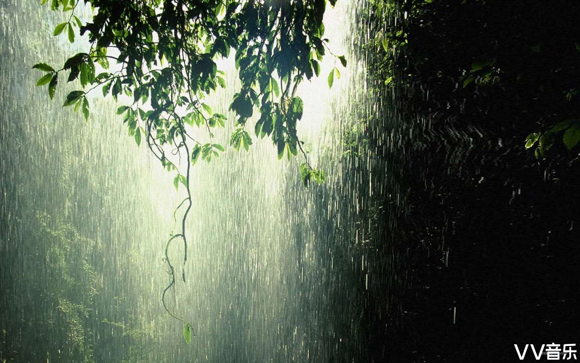 秋天雨夜图片唯美图片