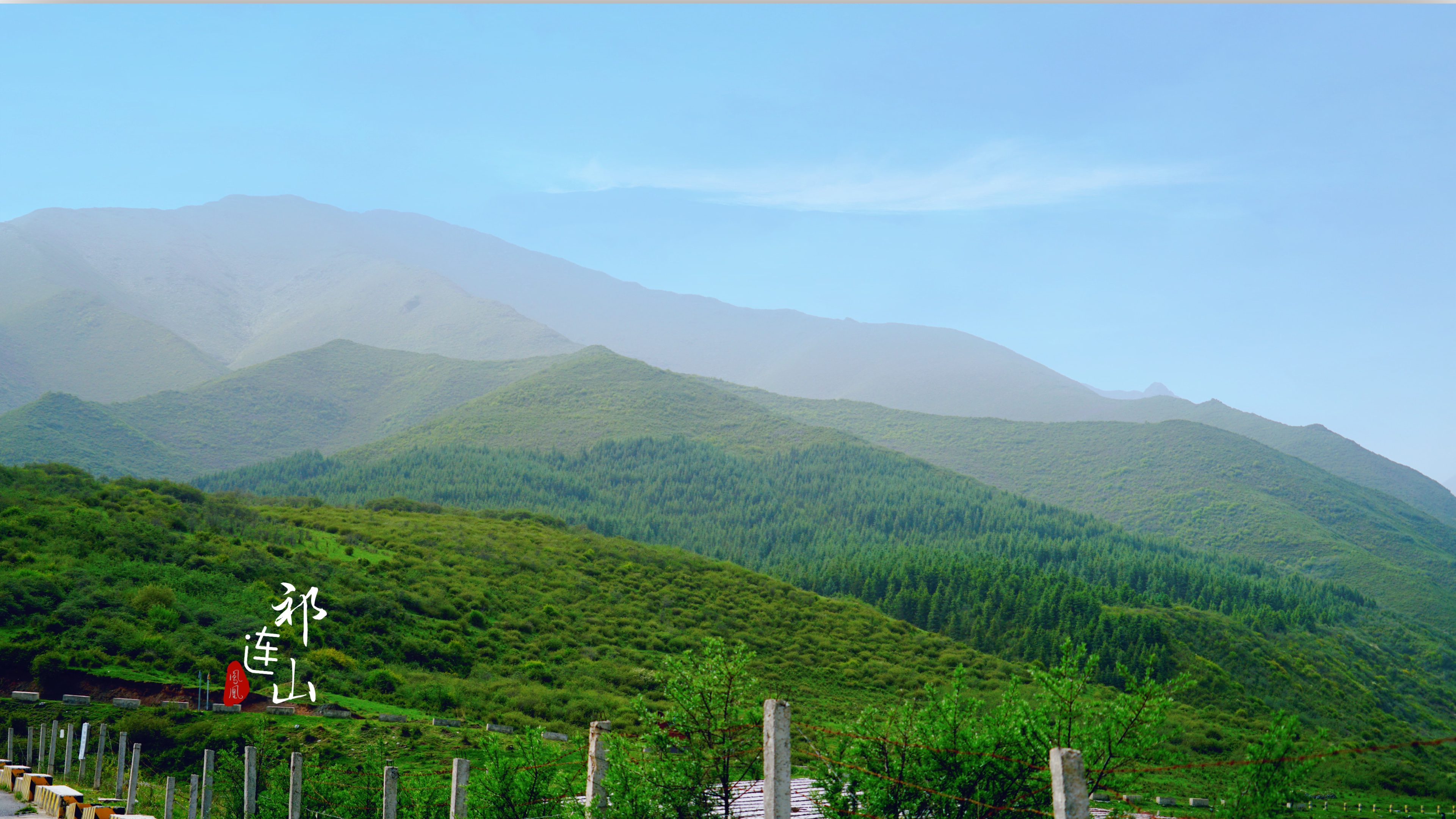 祁连山国家森林公园:古丰-小脑皮村[首发]