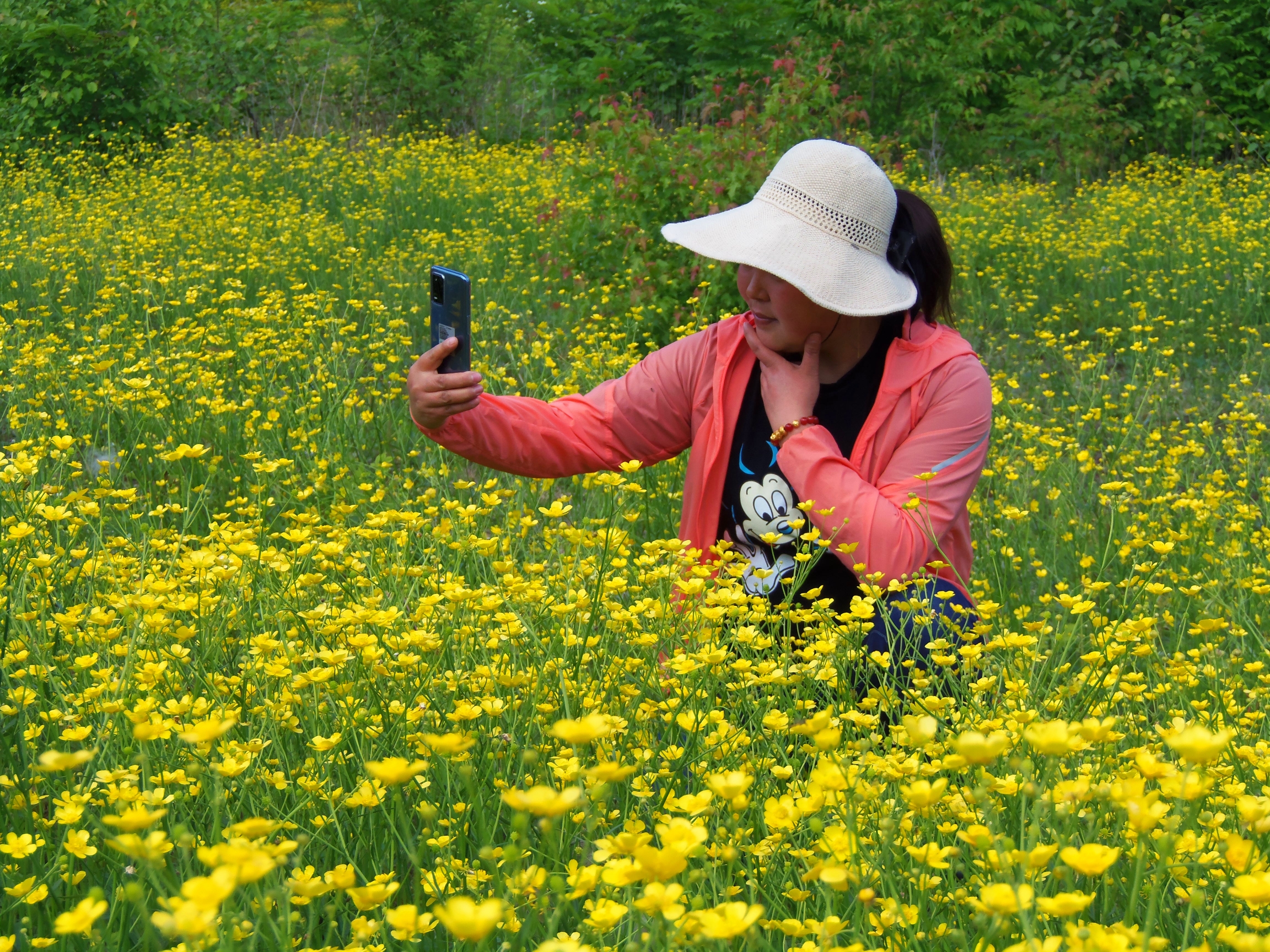 【首发】黄花甸里身影