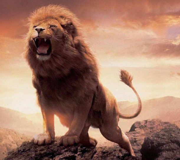 图片/网络(致谢) 一舟劈开巨浪 扬帆起航 ——走向辉煌 东方雄狮