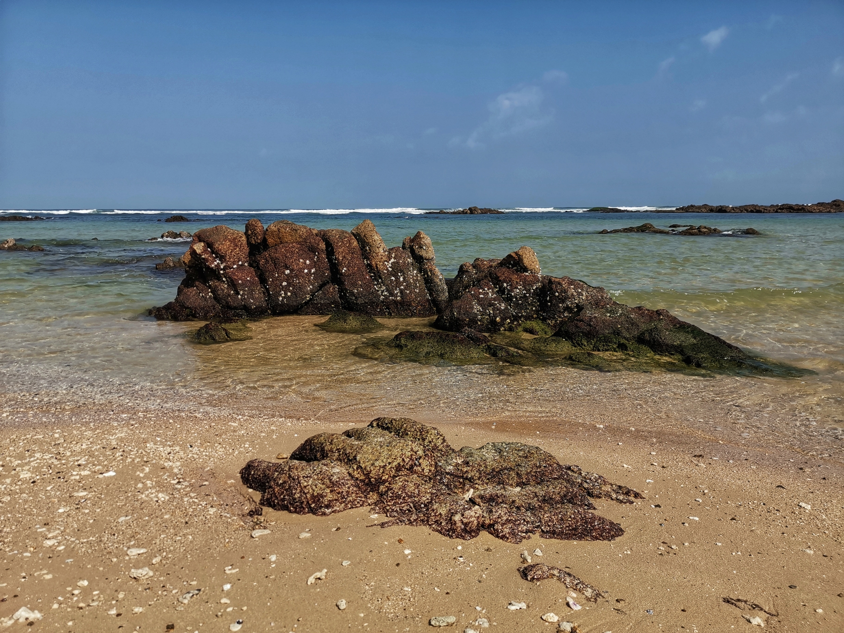 晶莹剔透景心角