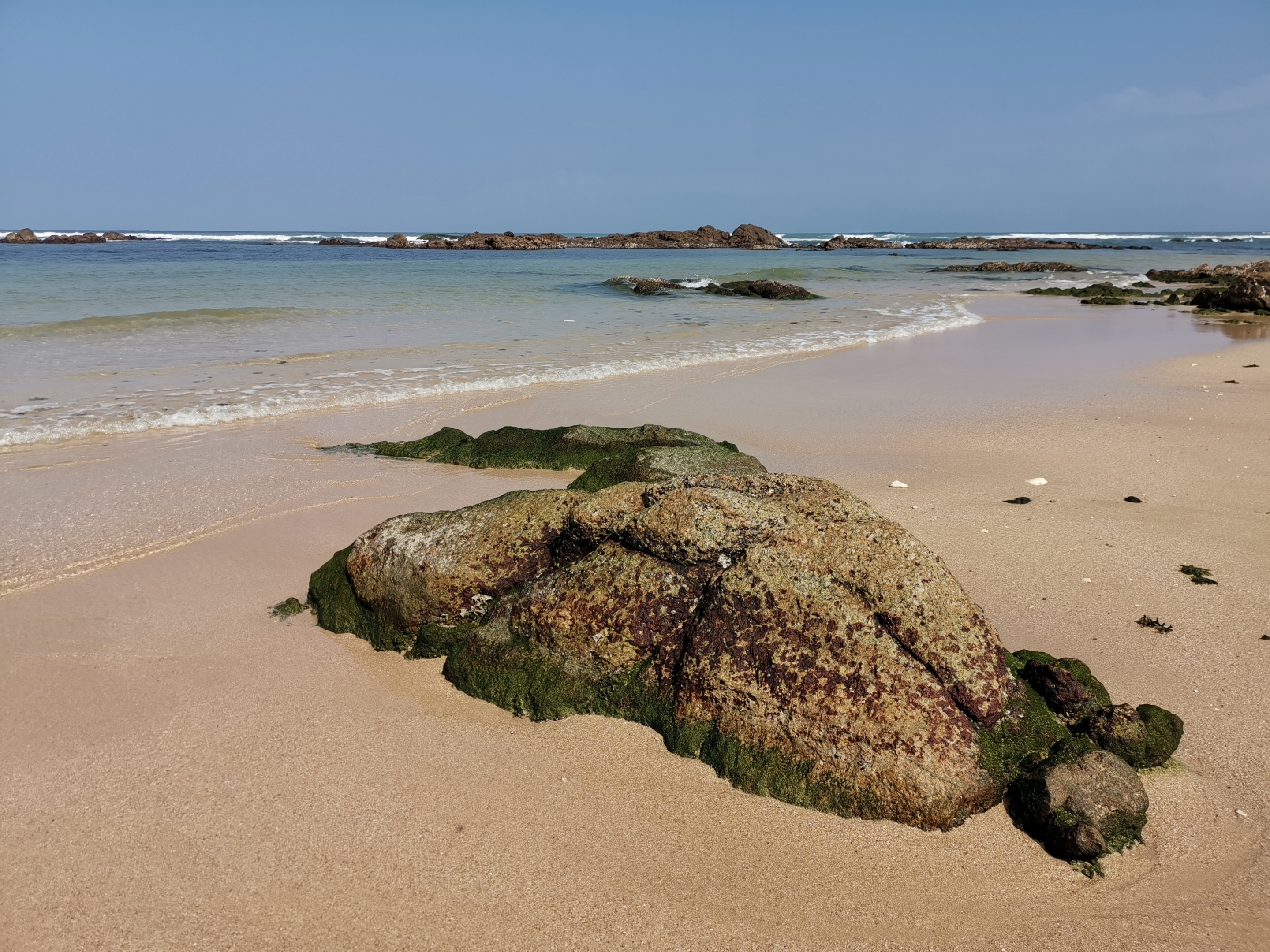 晶莹剔透景心角