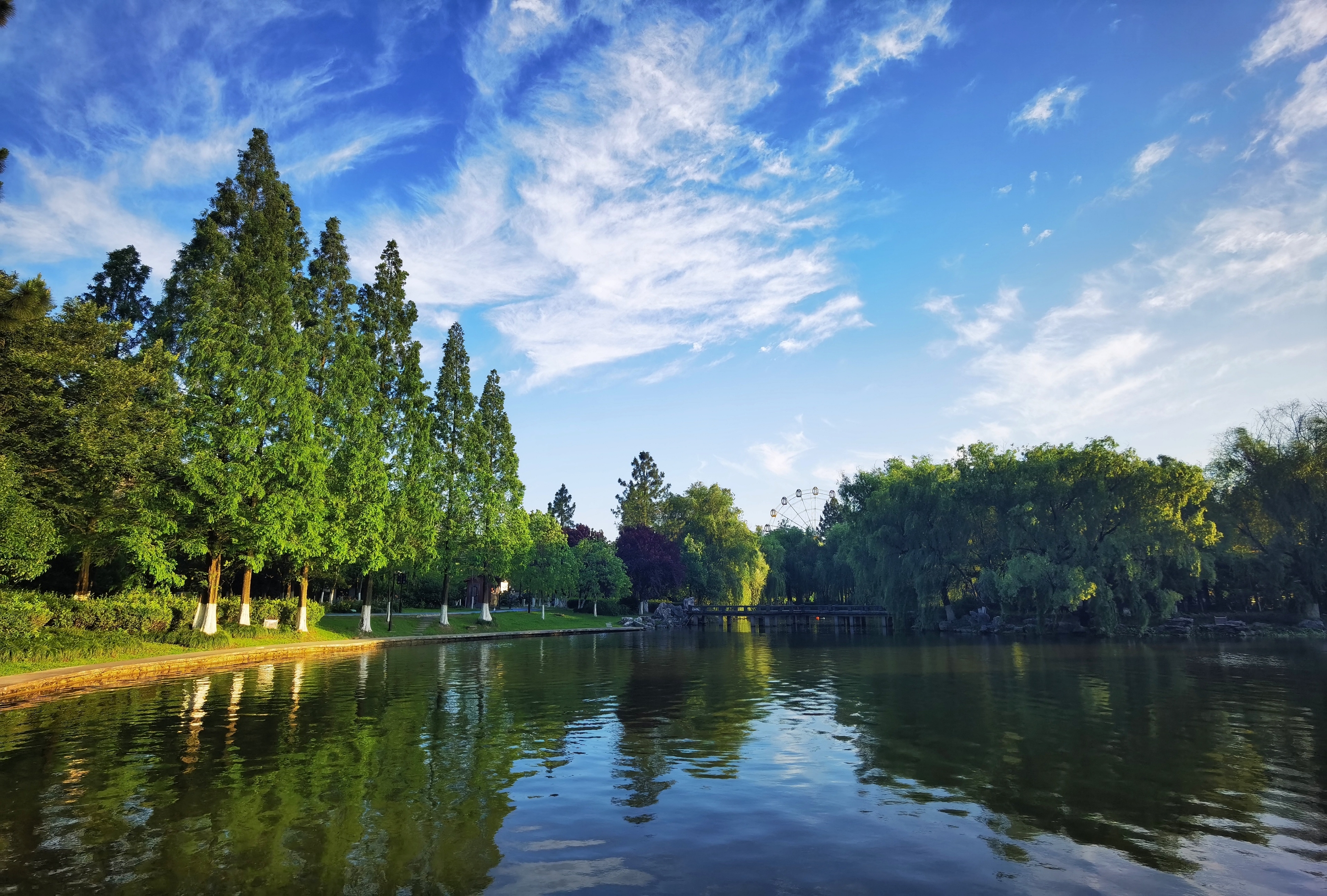 《首發》手機攝影丨新世紀公園美景