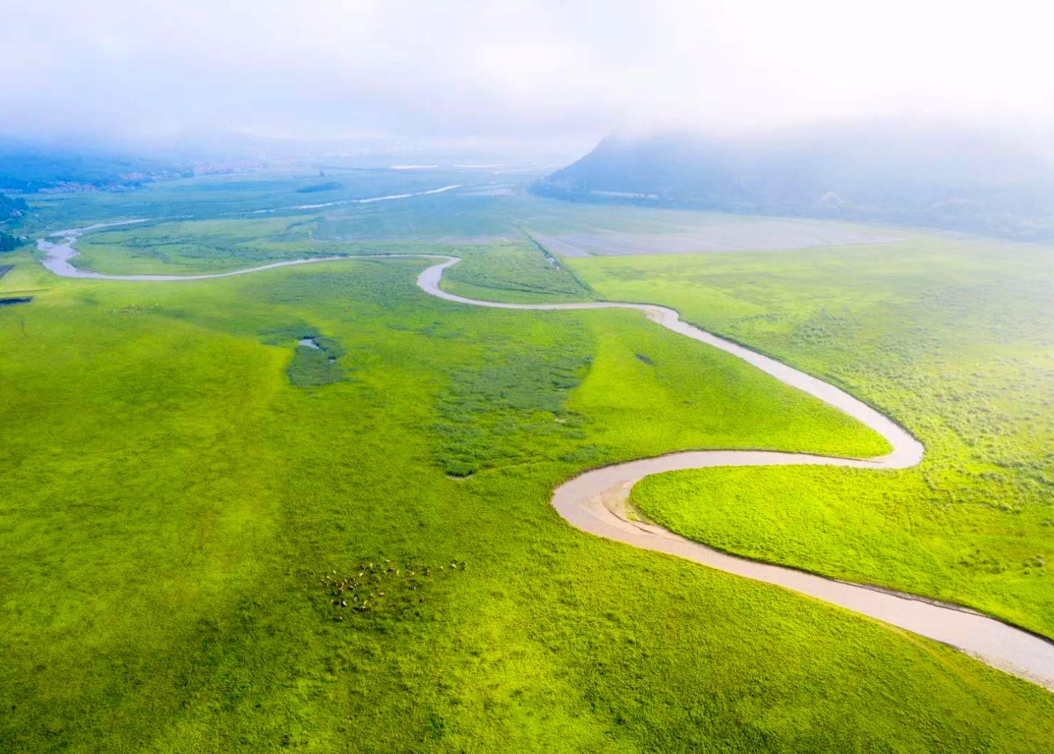我的草原(首发)