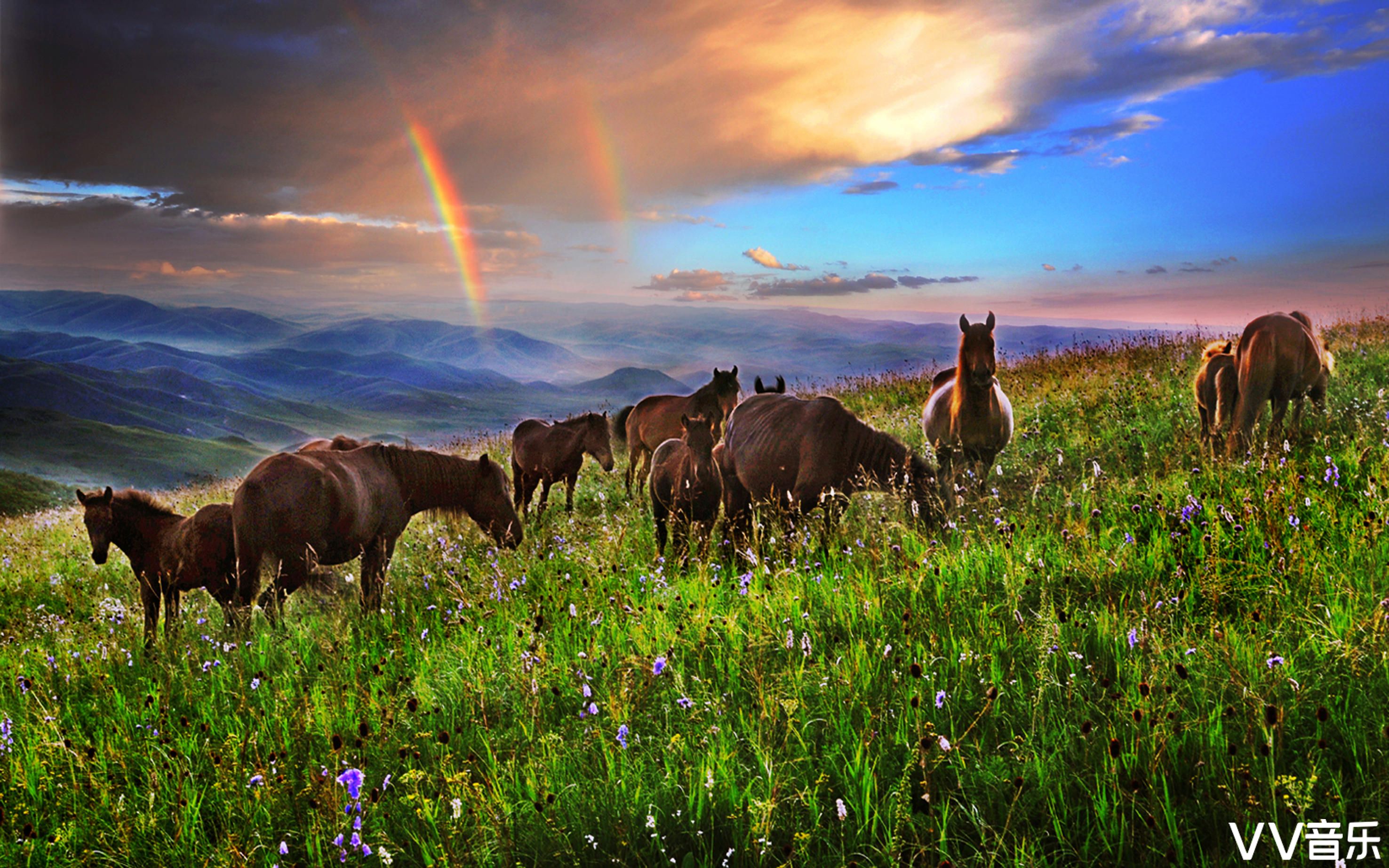 中华摄影网全国优秀摄影师摄影作品微刊第一百二十五期首发