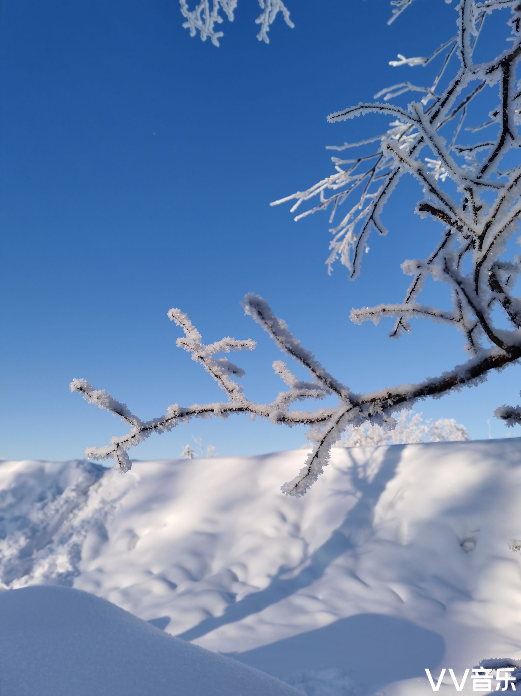 冬季雪花飘飘图片大全图片