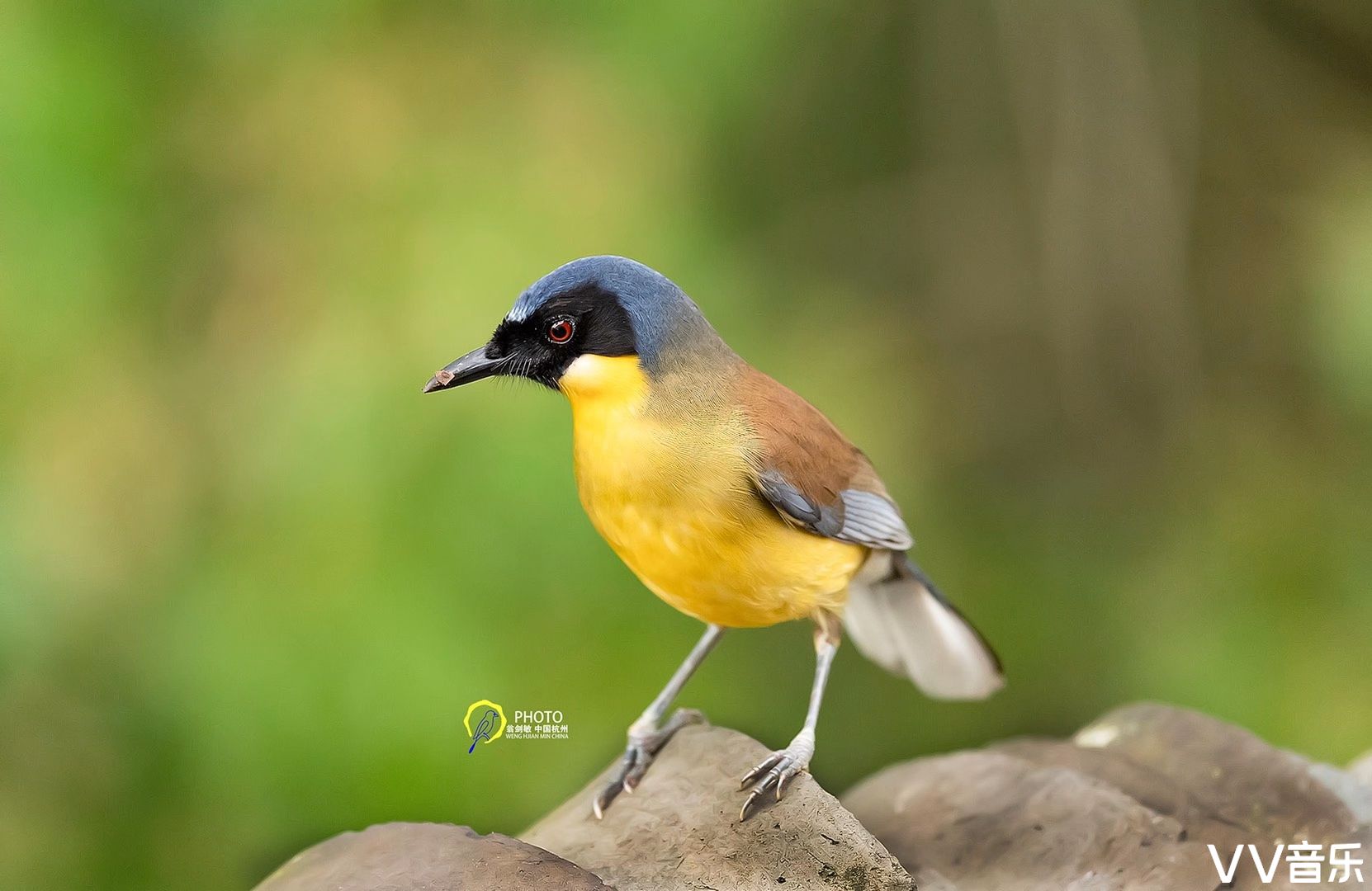 摄影：翁剑敏-杭州