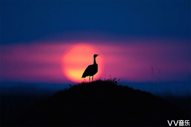 美轮美奂的尼日利亚草原落日美景