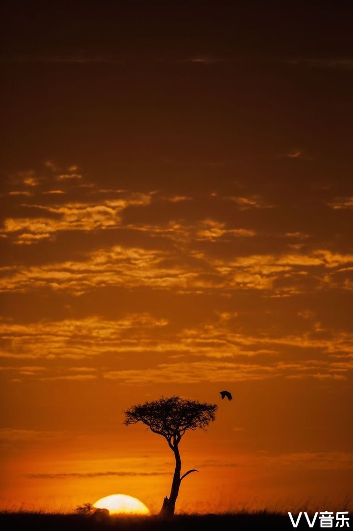 美轮美奂的尼日利亚草原落日美景