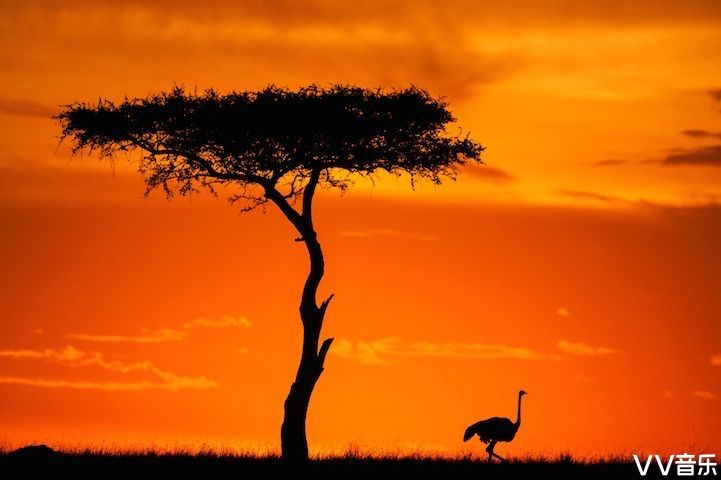 美轮美奂的尼日利亚草原落日美景