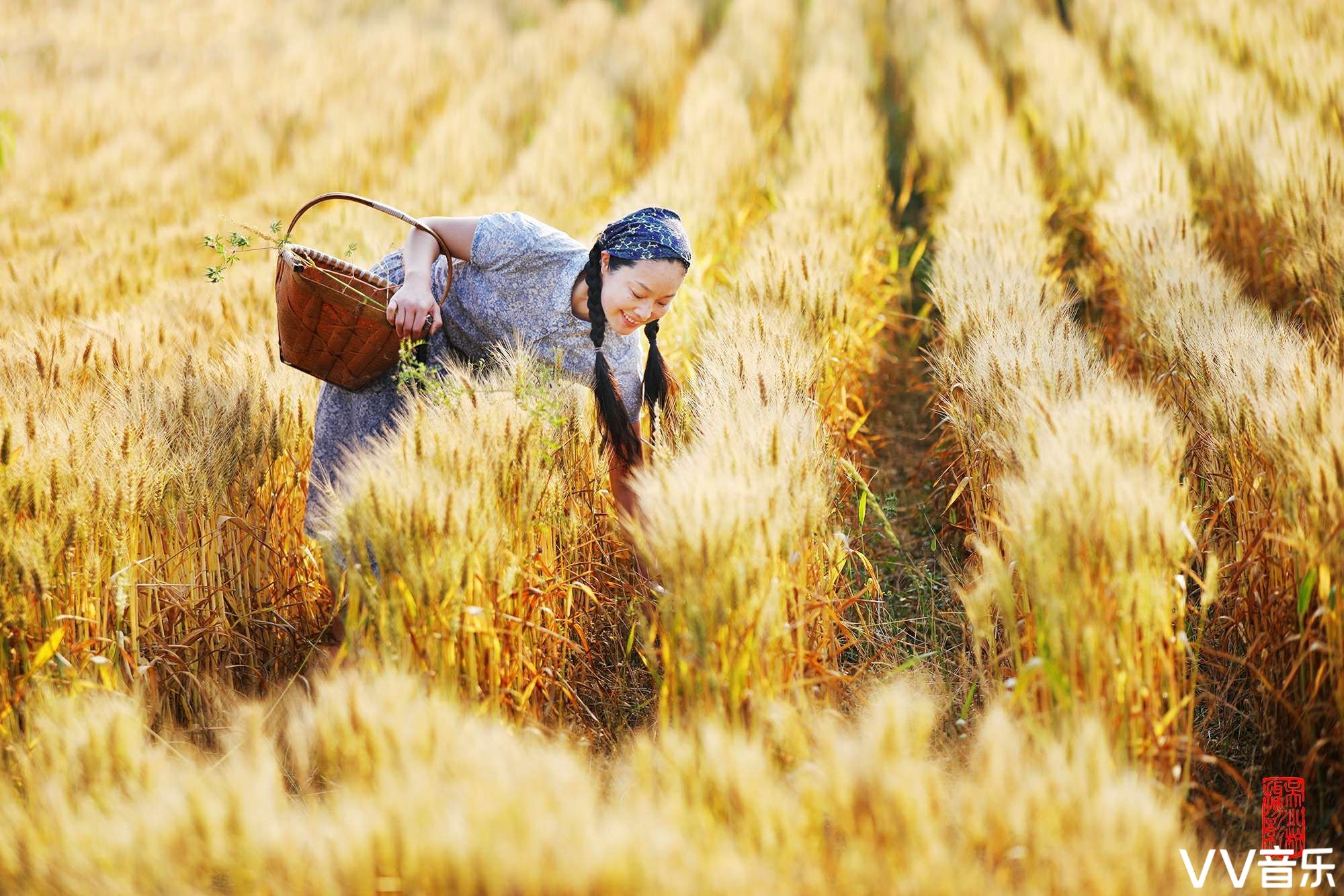 [摄影与诗]第四期:守望麦田