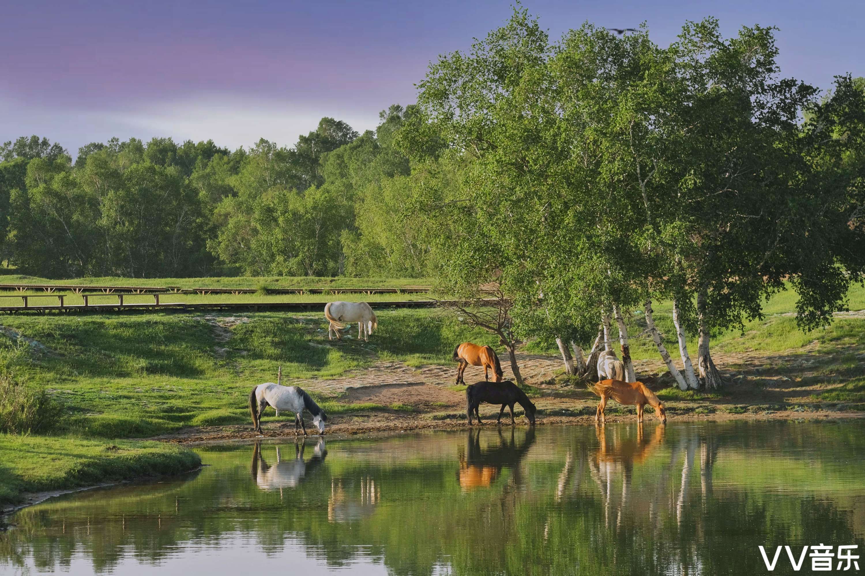 wk4,jan 2021-【yudie/唯美影像交流平台】自然风光&花鸟&画意精品影