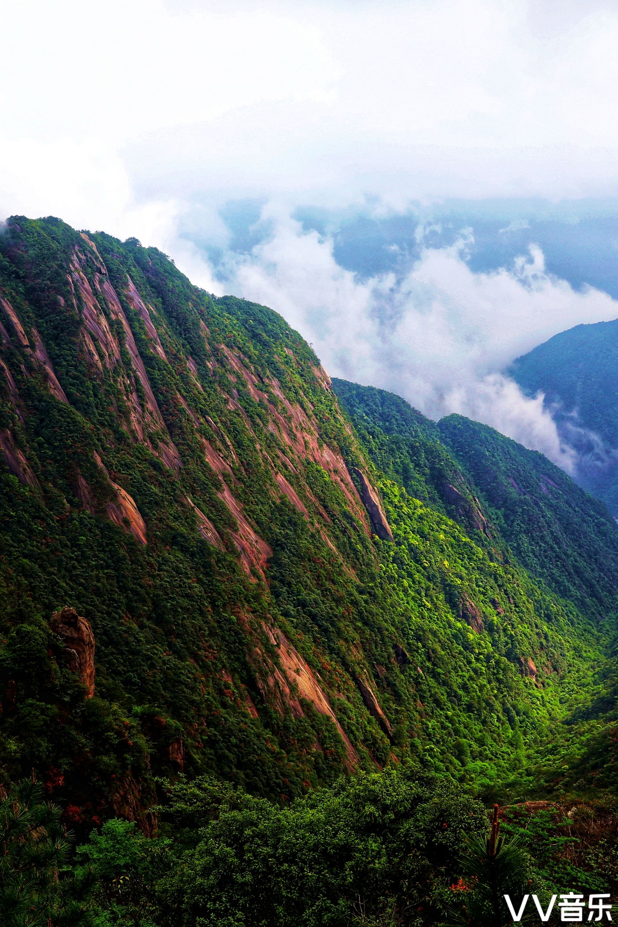 (第95期) "龙脉影像" 全国摄友交流展
